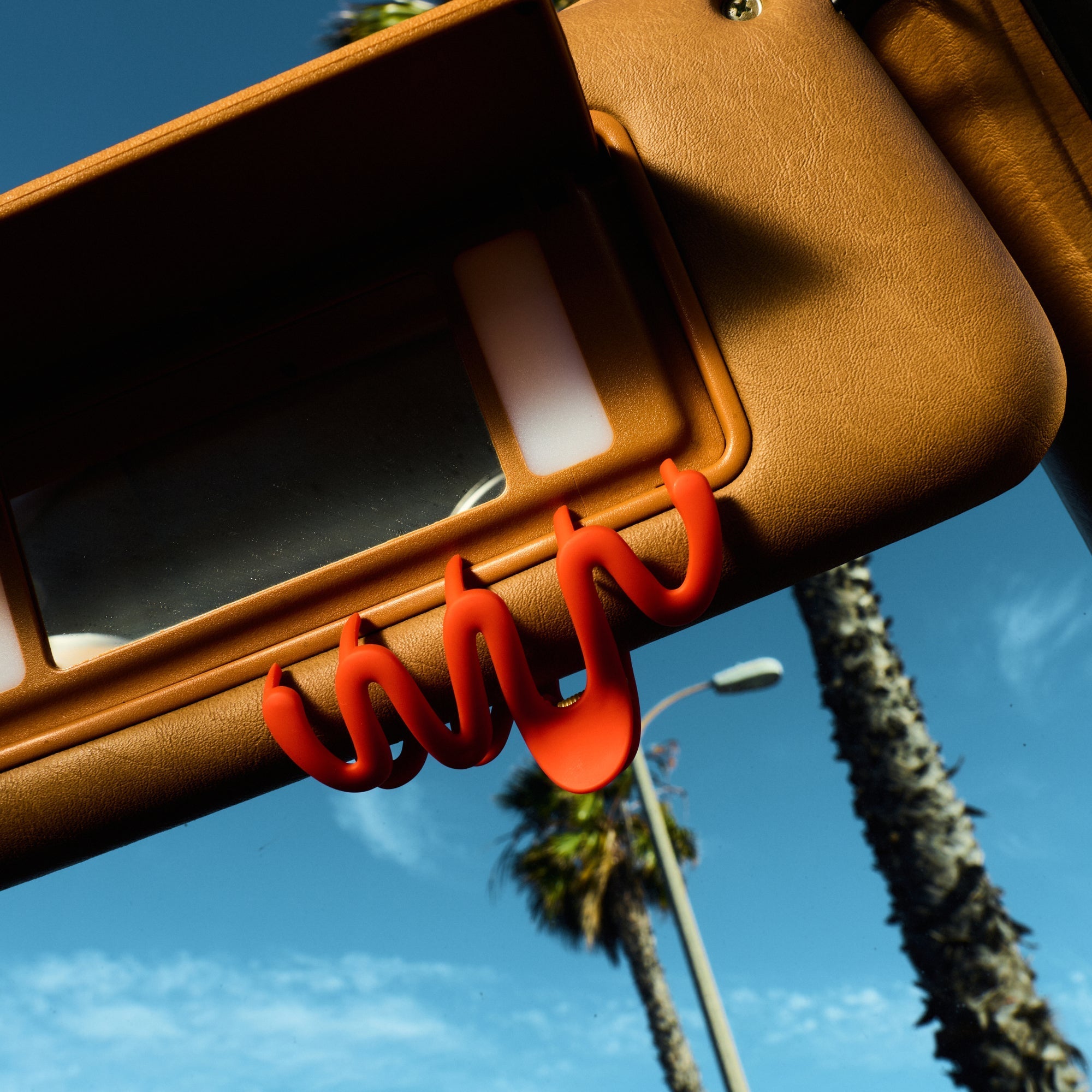The 'W' Claw Clip