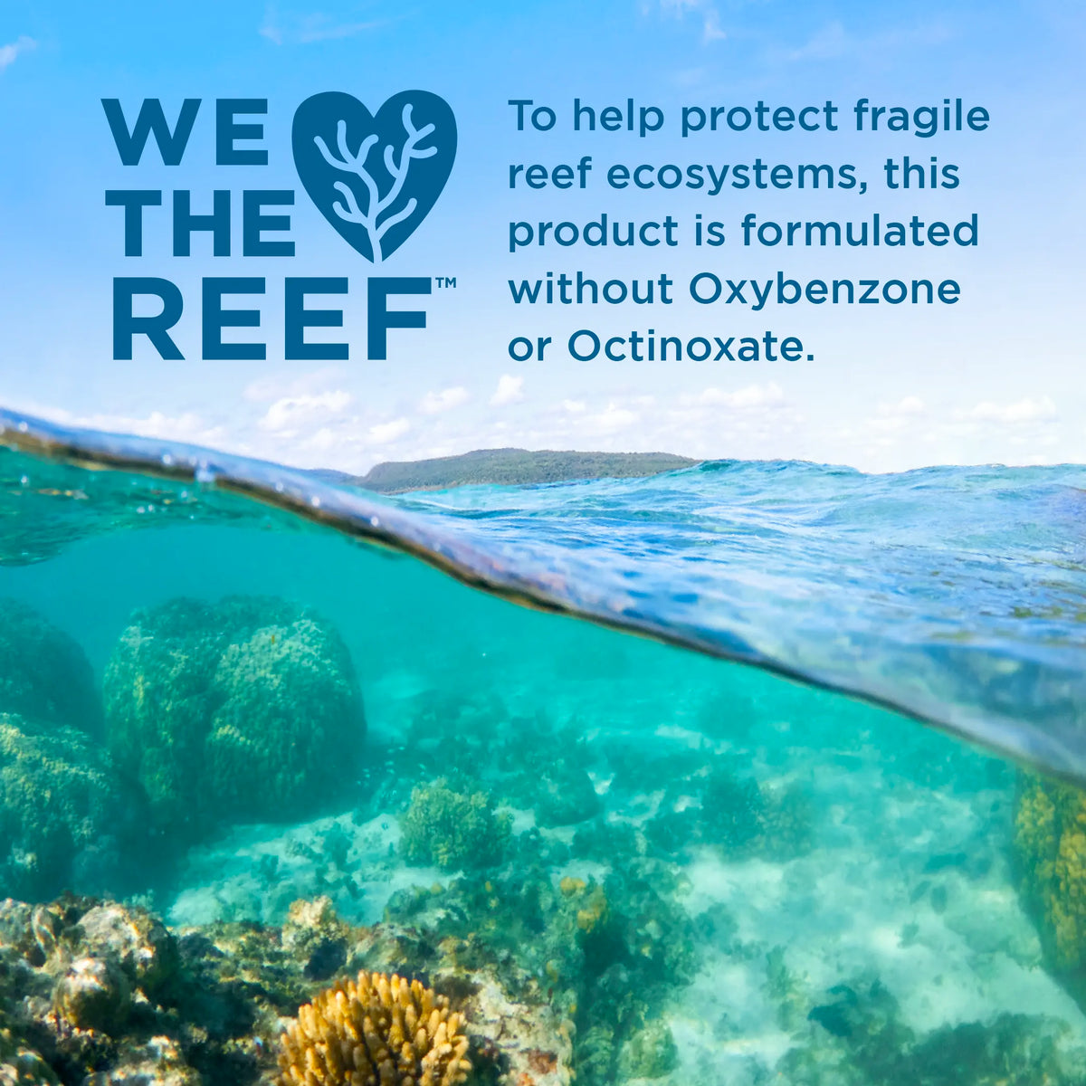 'We love the Reef' statement with a view of a coral reef and ocean.